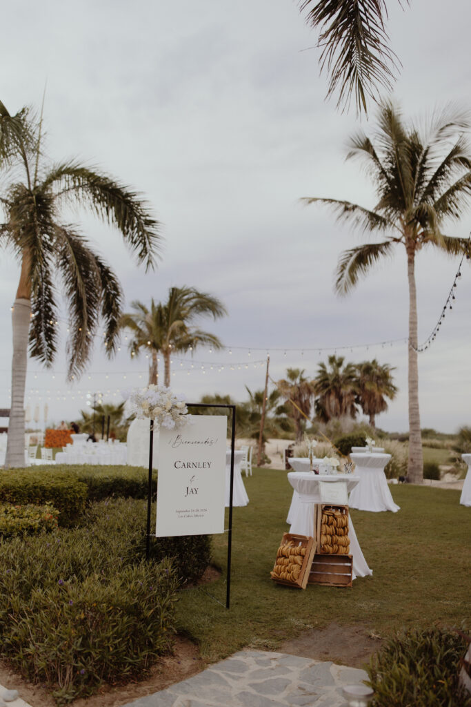 Secrets Puerto Los Cabos wedding, Cabo wedding photographer, destination wedding photographer